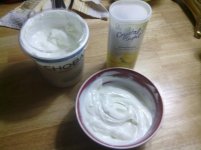 Non Fat Lemon Yogurt.jpg