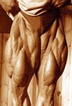 tom-platz-quads.jpg