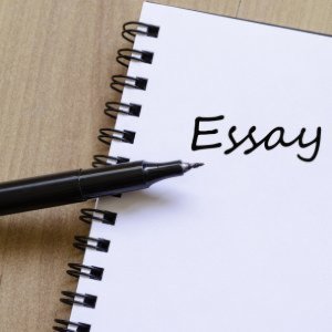 essay service