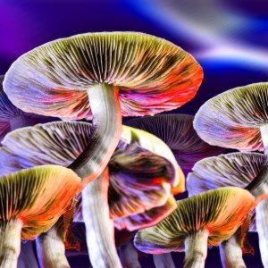 Navigating the World of Psychedelic Experiences