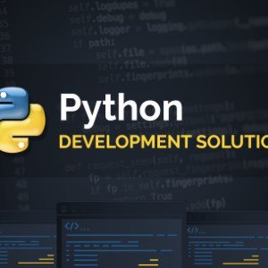 Python development services