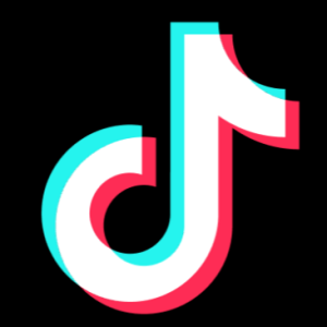 Tiktok downloader