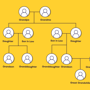 Genealogy and Ancestry