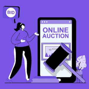 Online Auction Platforms