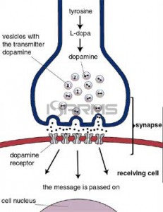 Dostinex - iSARMS.com